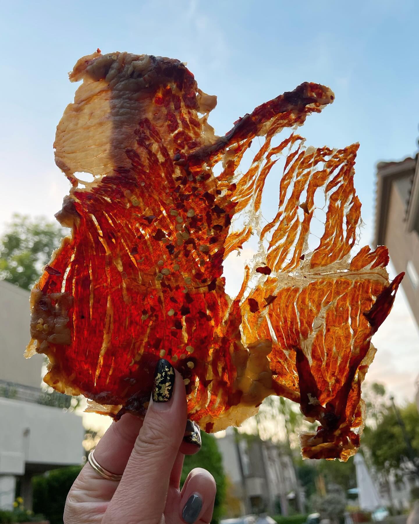 Sweet D's Candied Crisp Beef Jerky